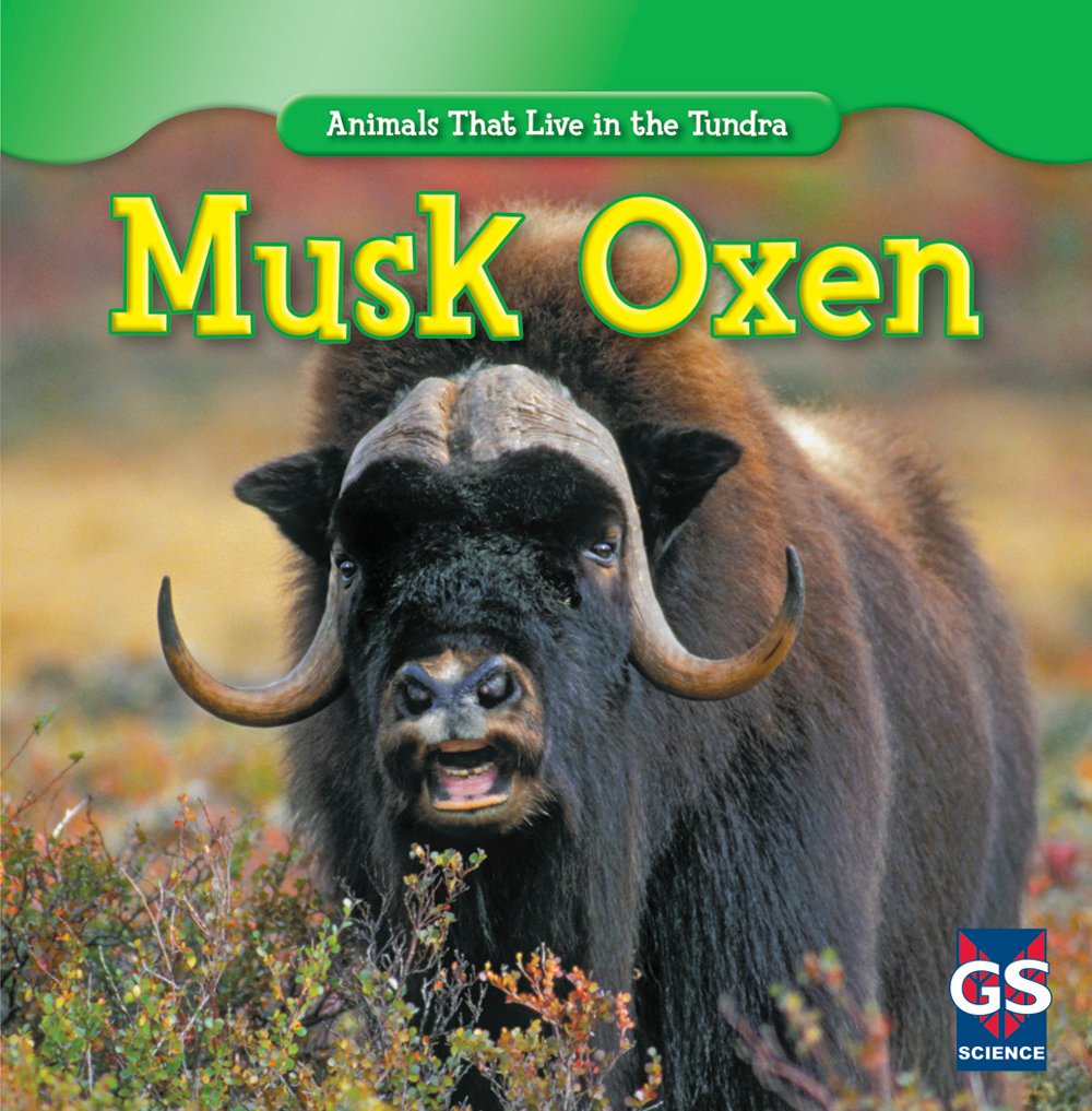 Musk Oxen (Animals That Live in the Tundra),Used
