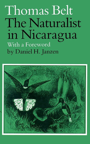 The Naturalist In Nicaragua