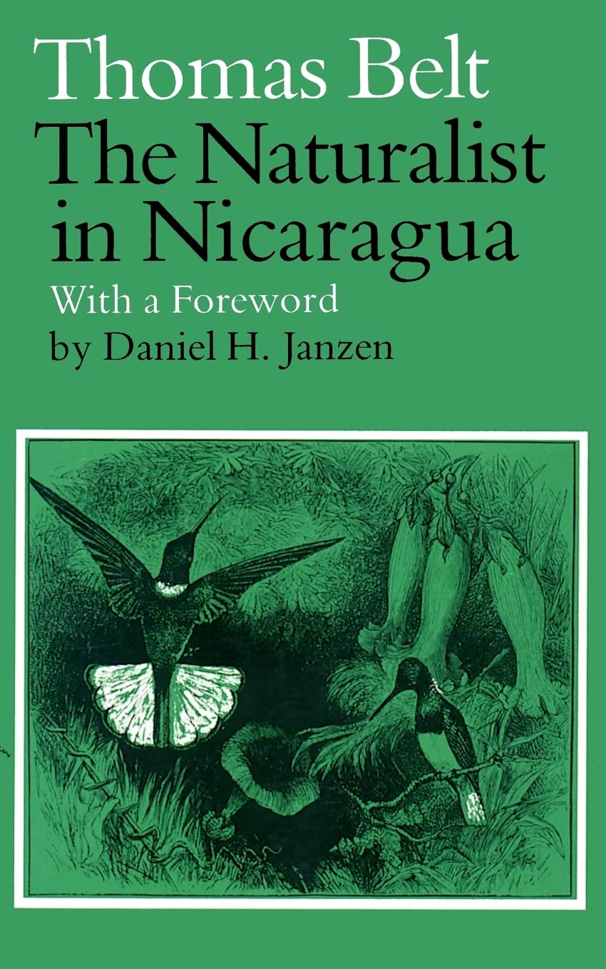 The Naturalist In Nicaragua