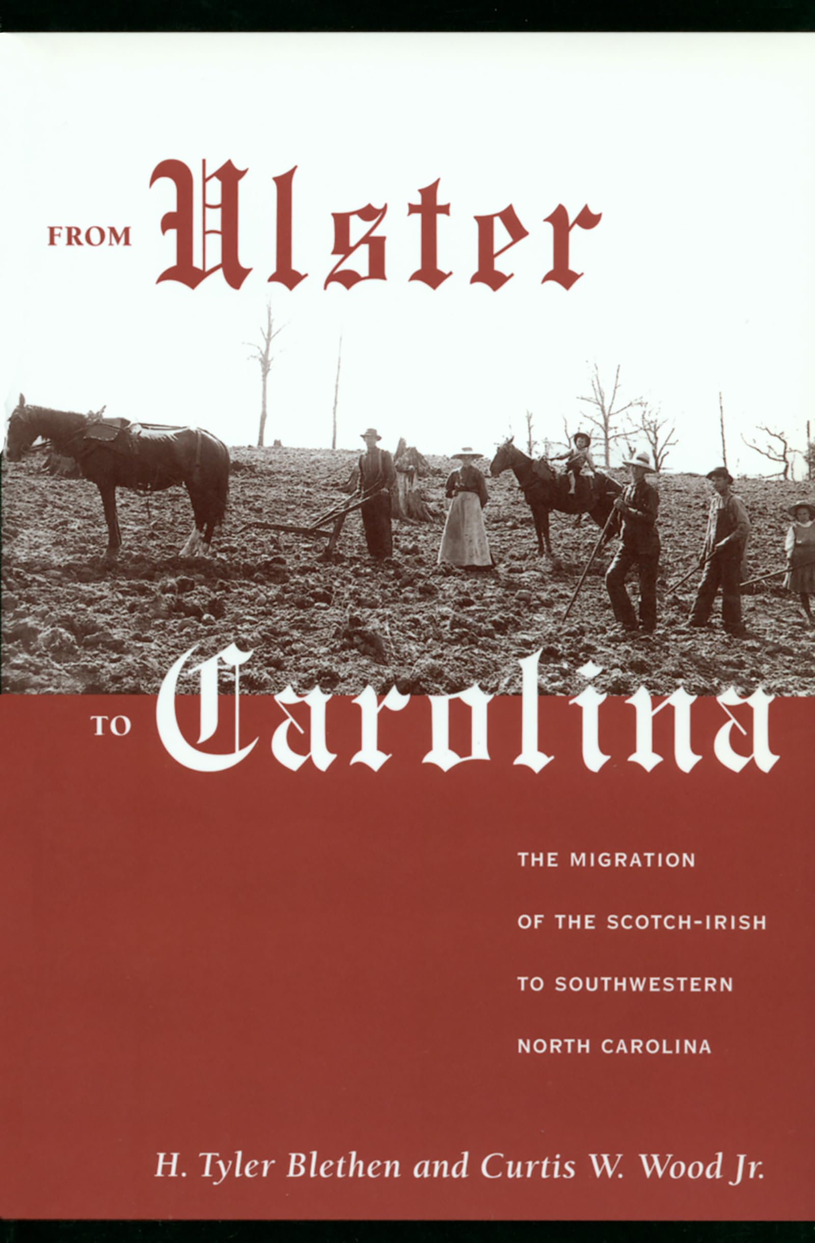 From Ulster To Carolina: The Migration Of The Scotchirish To Southwestern North Carolina,Used