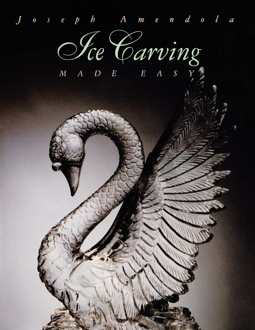 Ice Carving Made Easy,Used