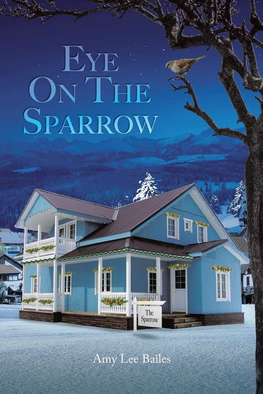 Eye On The Sparrow,Used