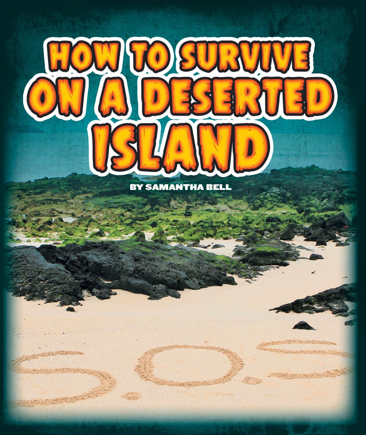 How to Survive on a Deserted Island (Survival Guides),Used