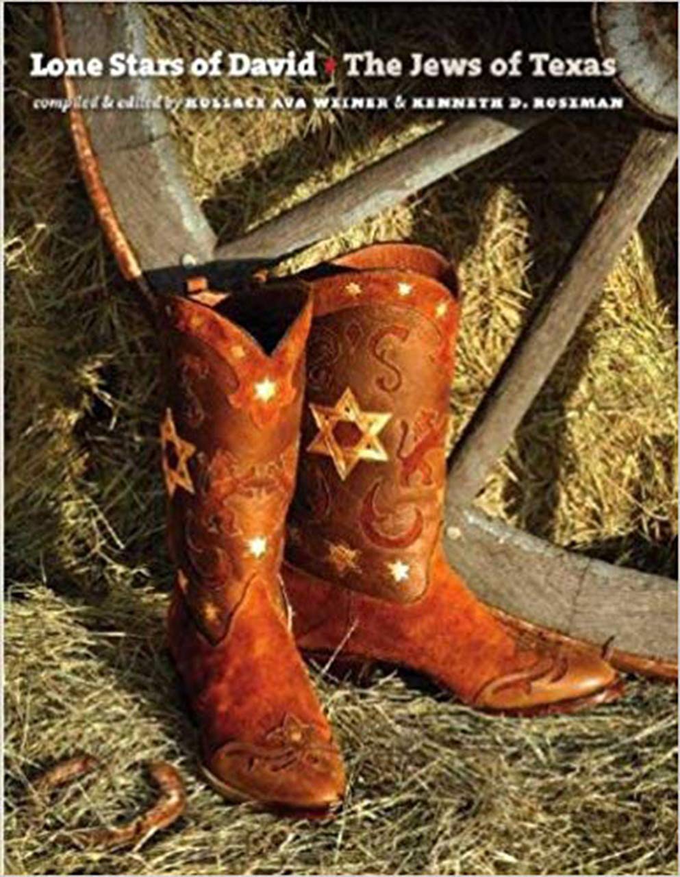 Lone Stars of David: The Jews of Texas (Brandeis Series in American Jewish History, Culture, and Life),Used