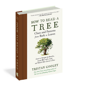 How To Read A Tree: Clues And Patterns From Bark To Leaves (Natural Navigation)