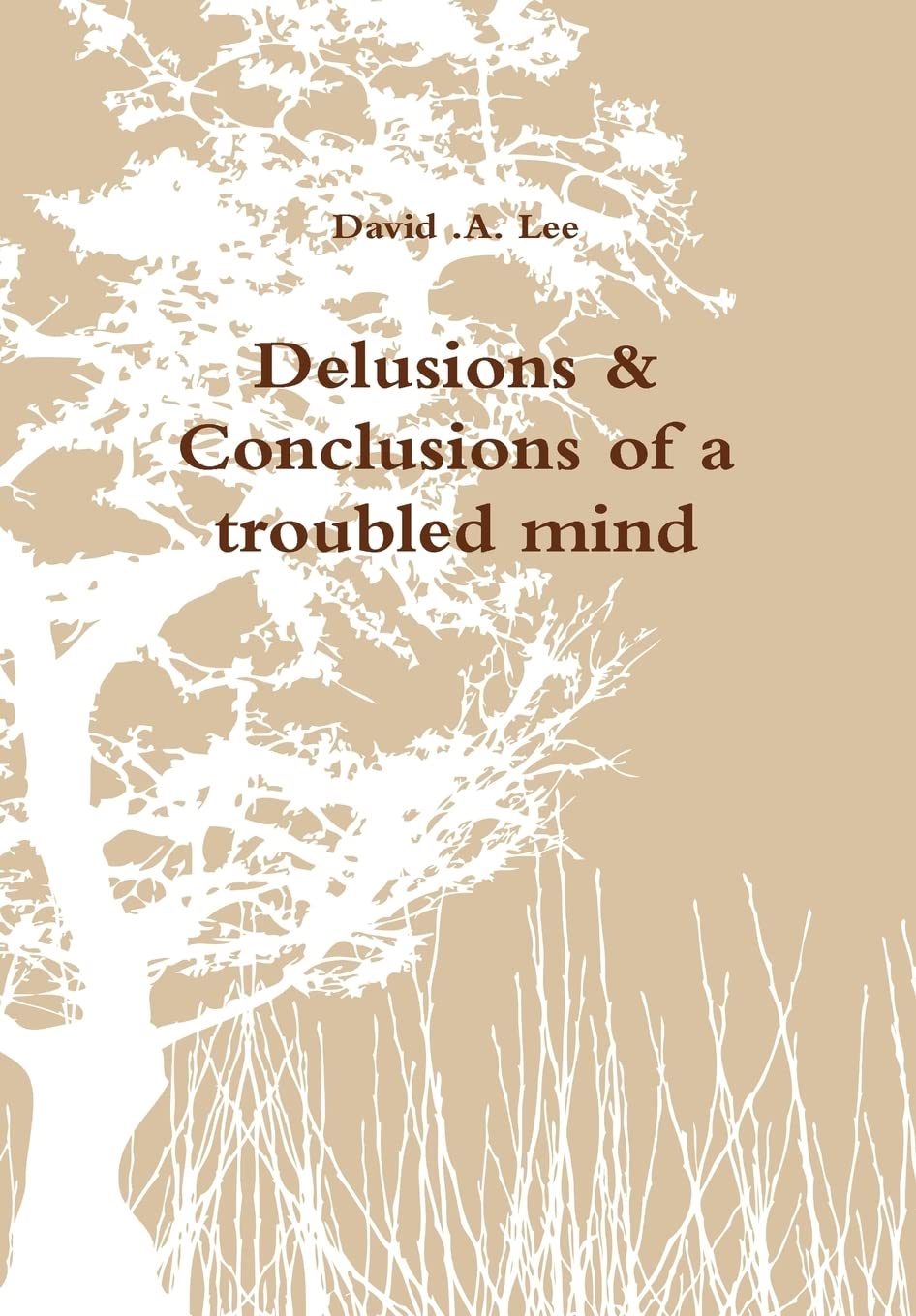 Delusions & Conclusions Of A Troubled Mind,Used