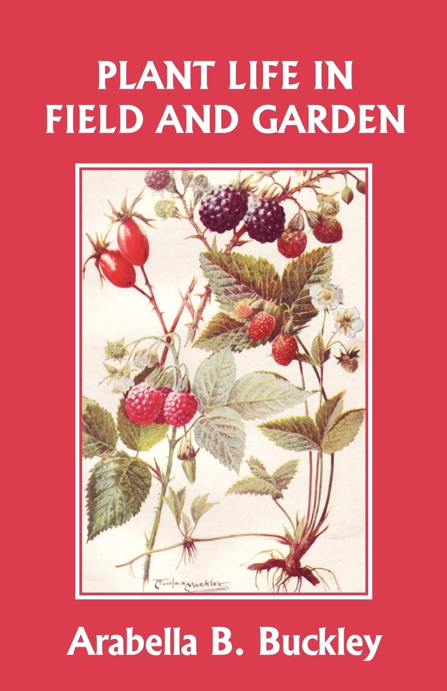 Plant Life in Field and Garden (Yesterday's Classics) (Eyes and No Eyes Series),Used
