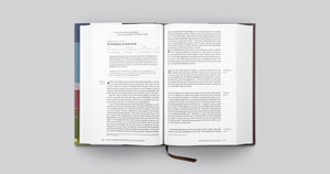 ESV Chronological Bible,Used
