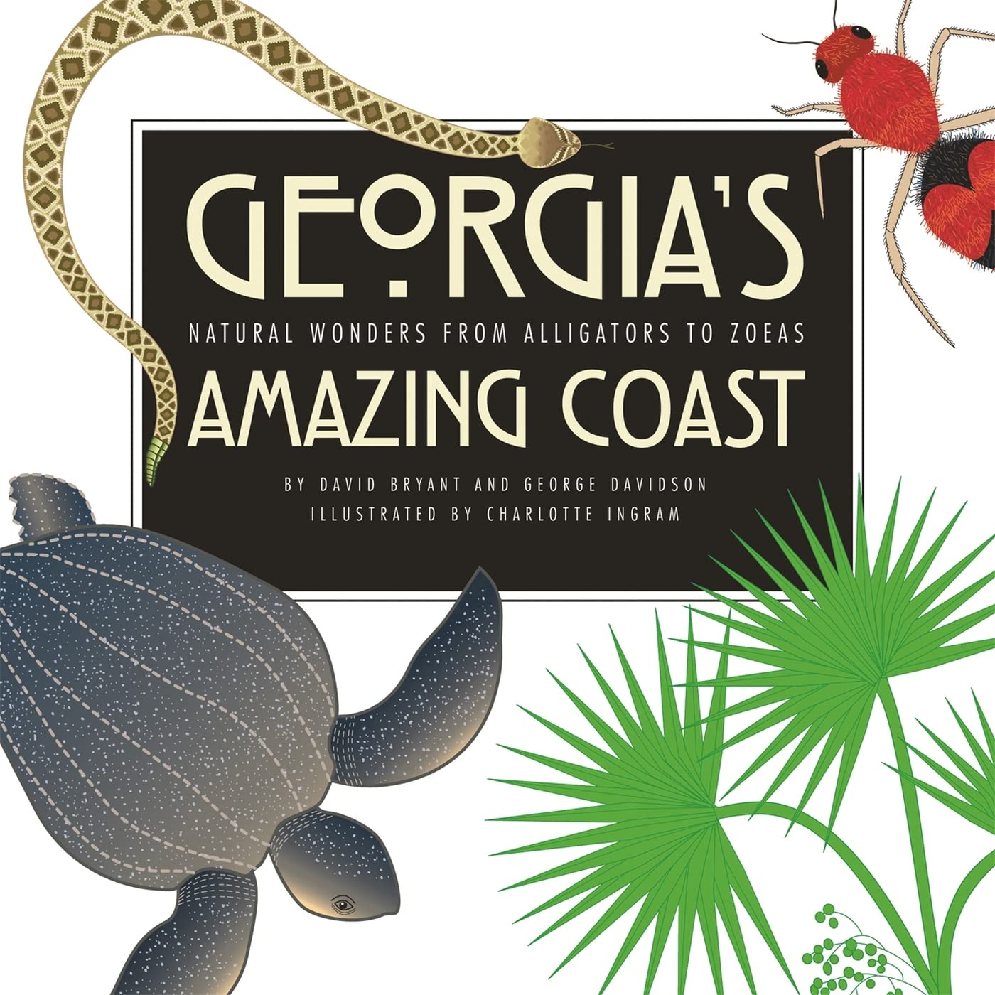Georgia'S Amazing Coast: Natural Wonders From Alligators To Zoeas,New