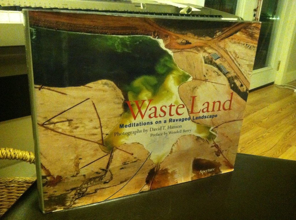 Waste Land: Meditations On A Ravaged Landscape
