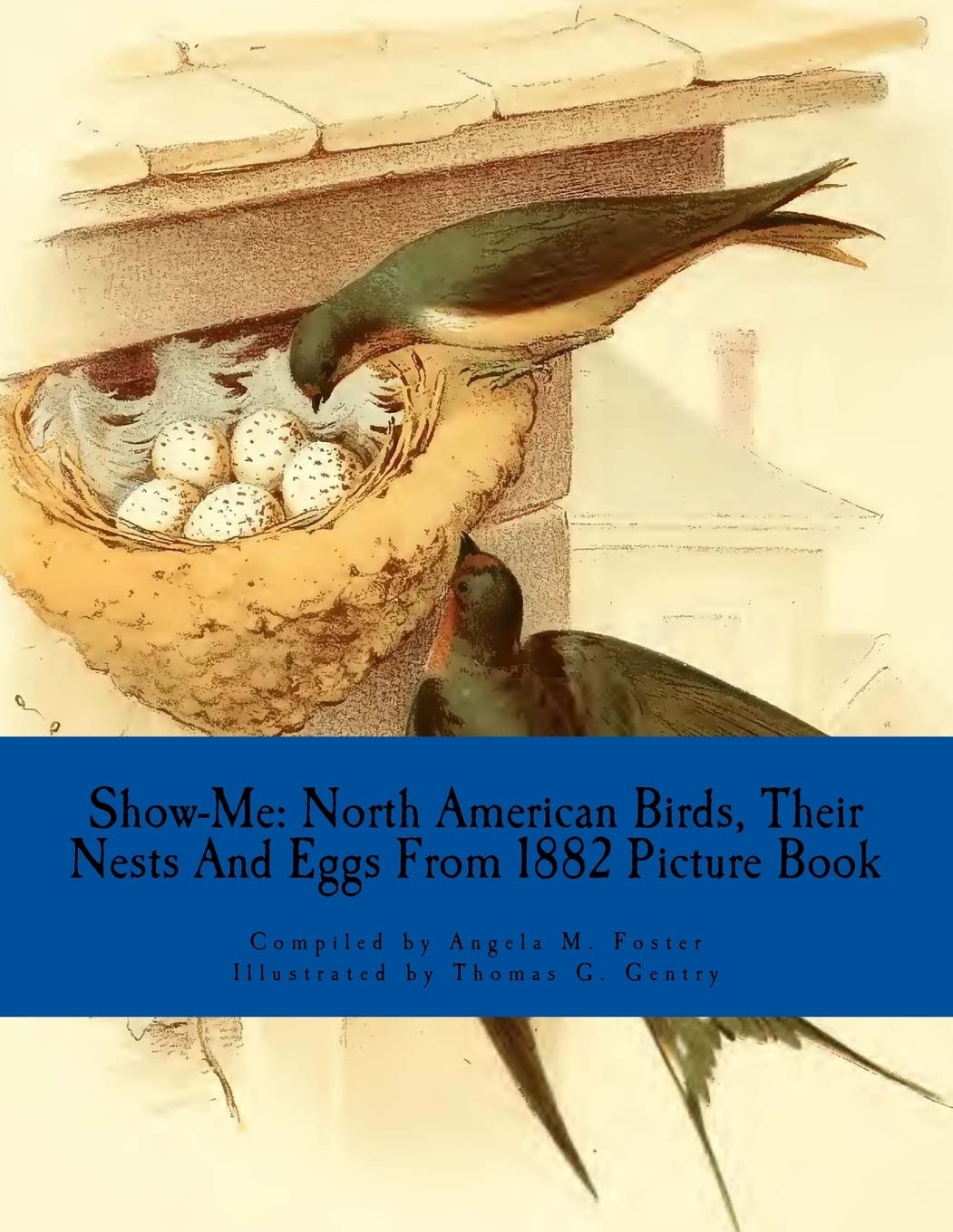 ShowMe: North American Birds, Their Nests And Eggs From 1882 (Picture Book),Used