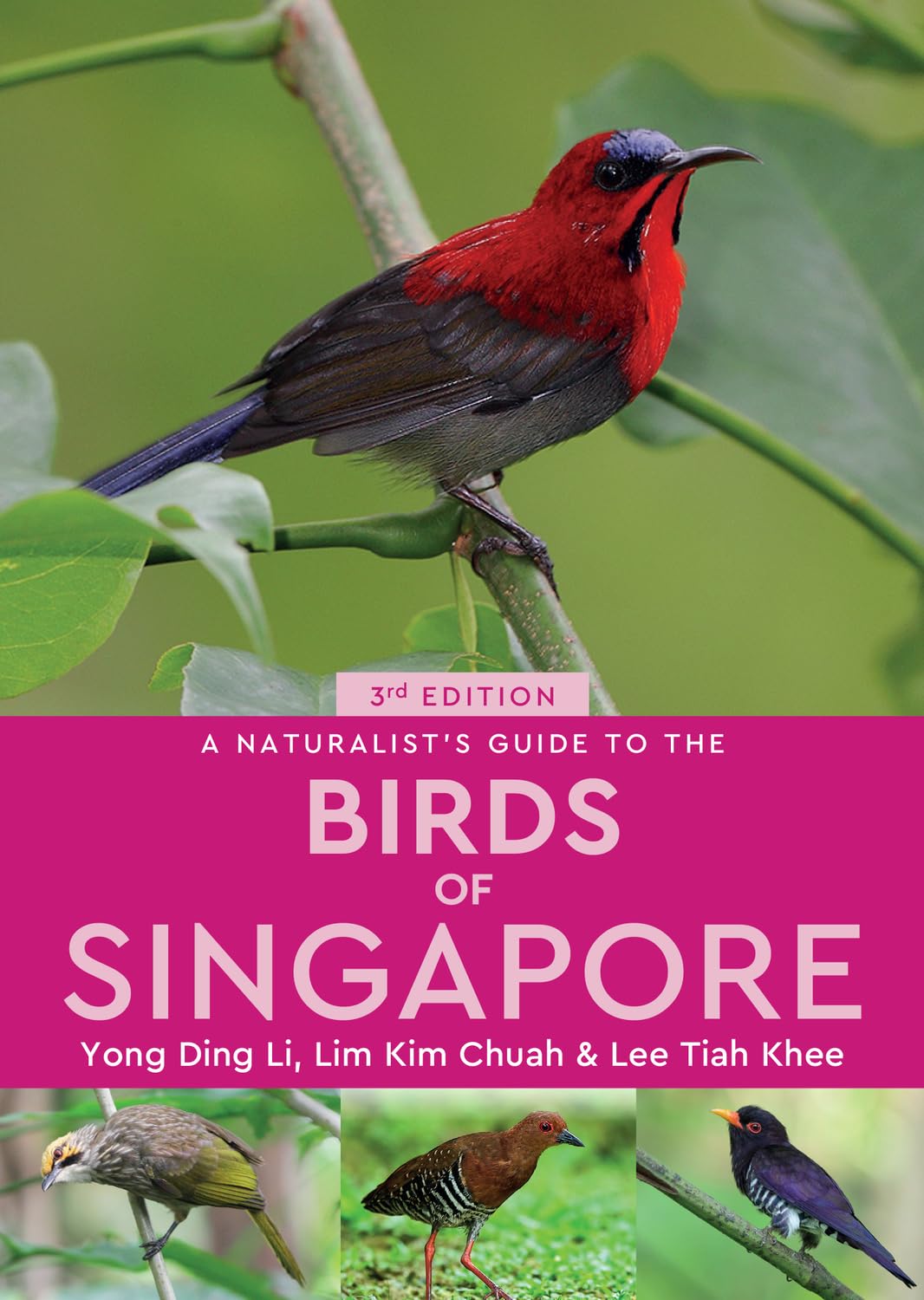 A Naturalist's Guide to the Birds of Singapore (Naturalist's Guides),Used