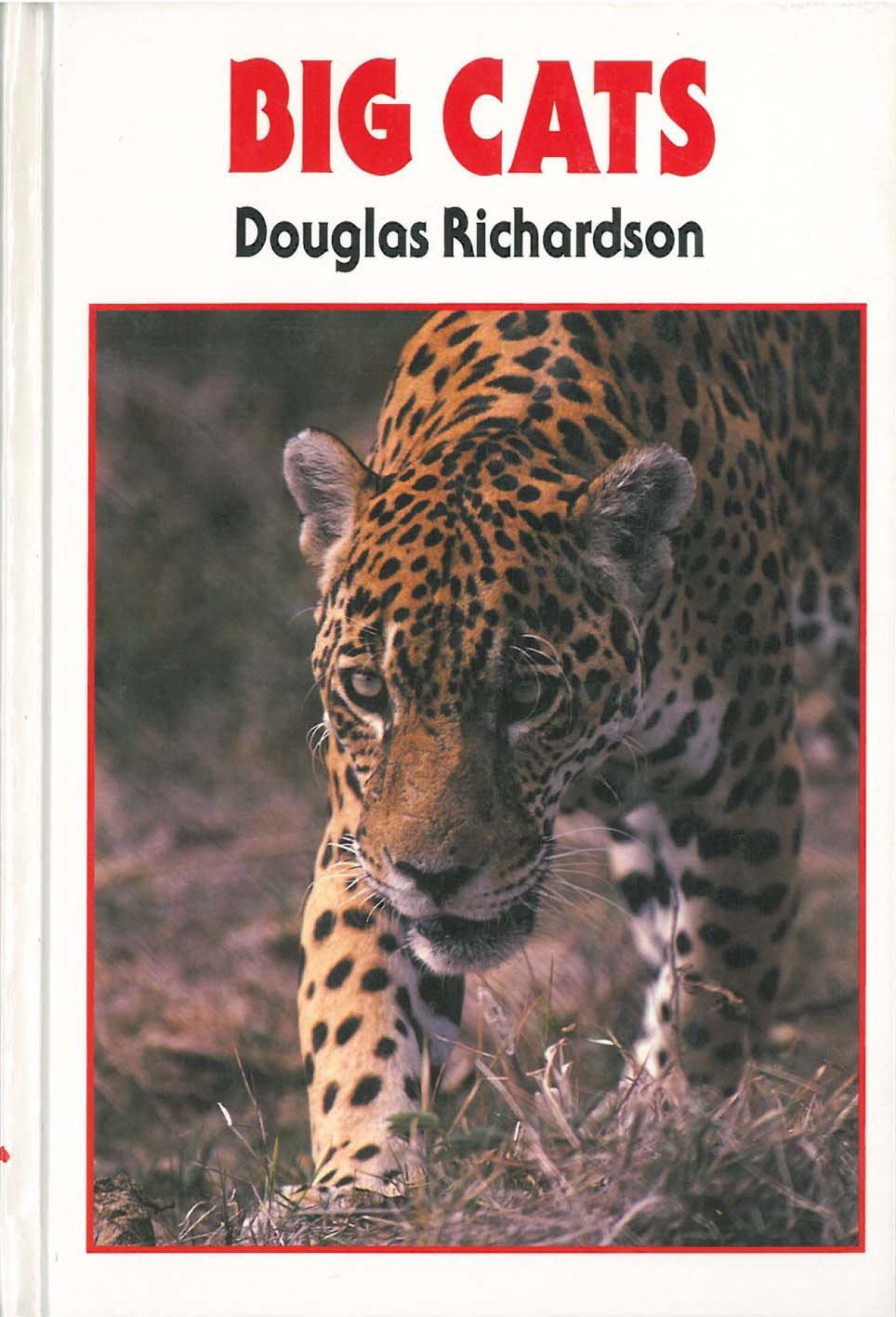 Big Cats,Used