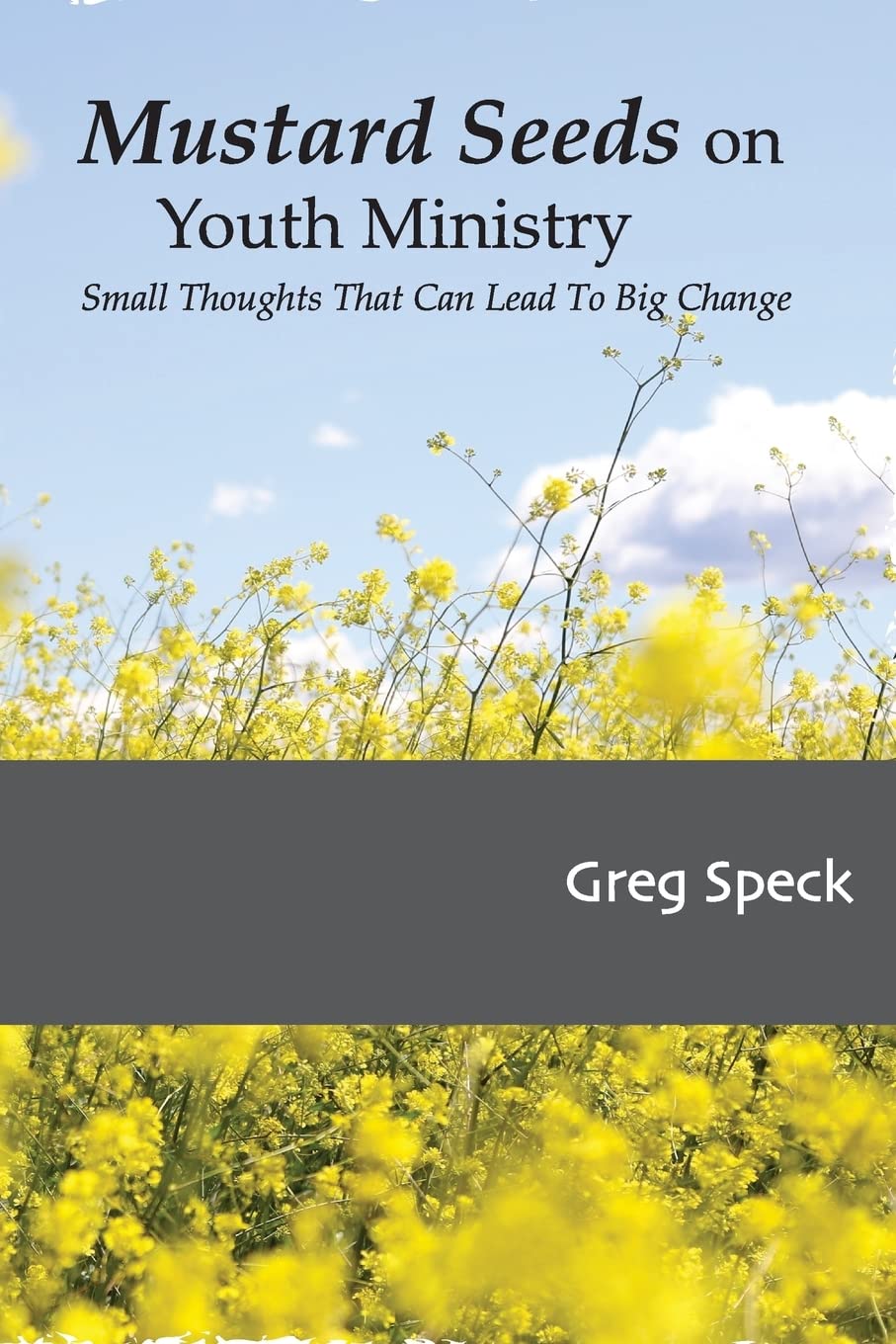 Mustard Seeds on Youth Ministry: Small Thoughts That Can Lead to Big Change,Used