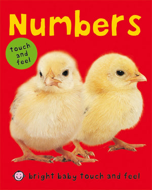 Bright Baby Touch & Feel Numbers (Bright Baby Touch and Feel),Used