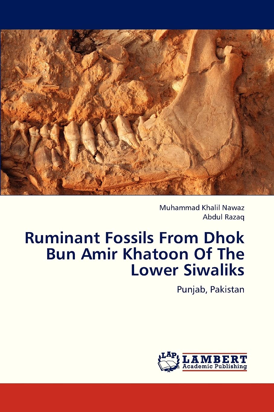 Ruminant Fossils From Dhok Bun Amir Khatoon Of The Lower Siwaliks: Punjab, Pakistan,Used