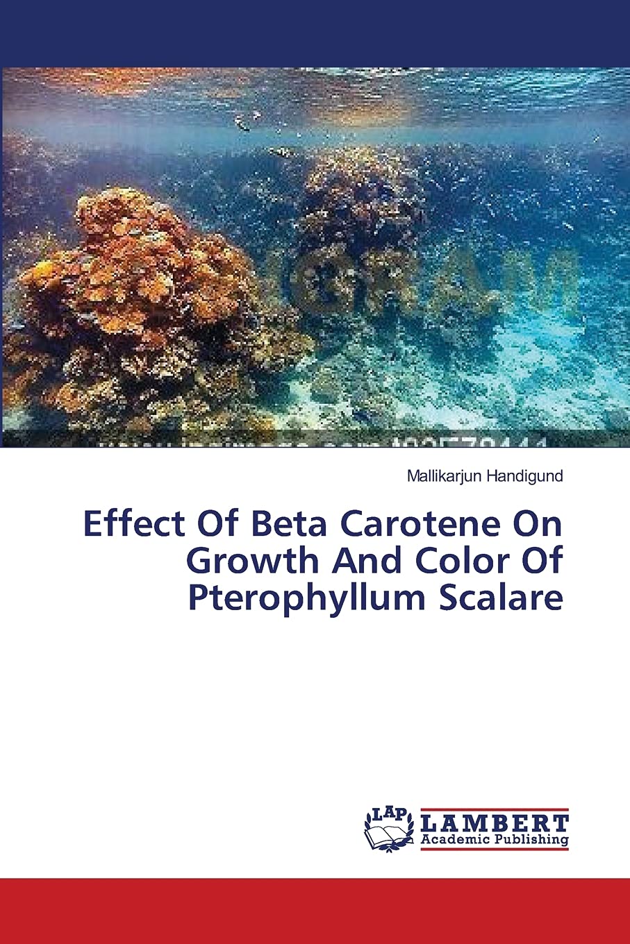 Effect Of Beta Carotene On Growth And Color Of Pterophyllum Scalare,Used