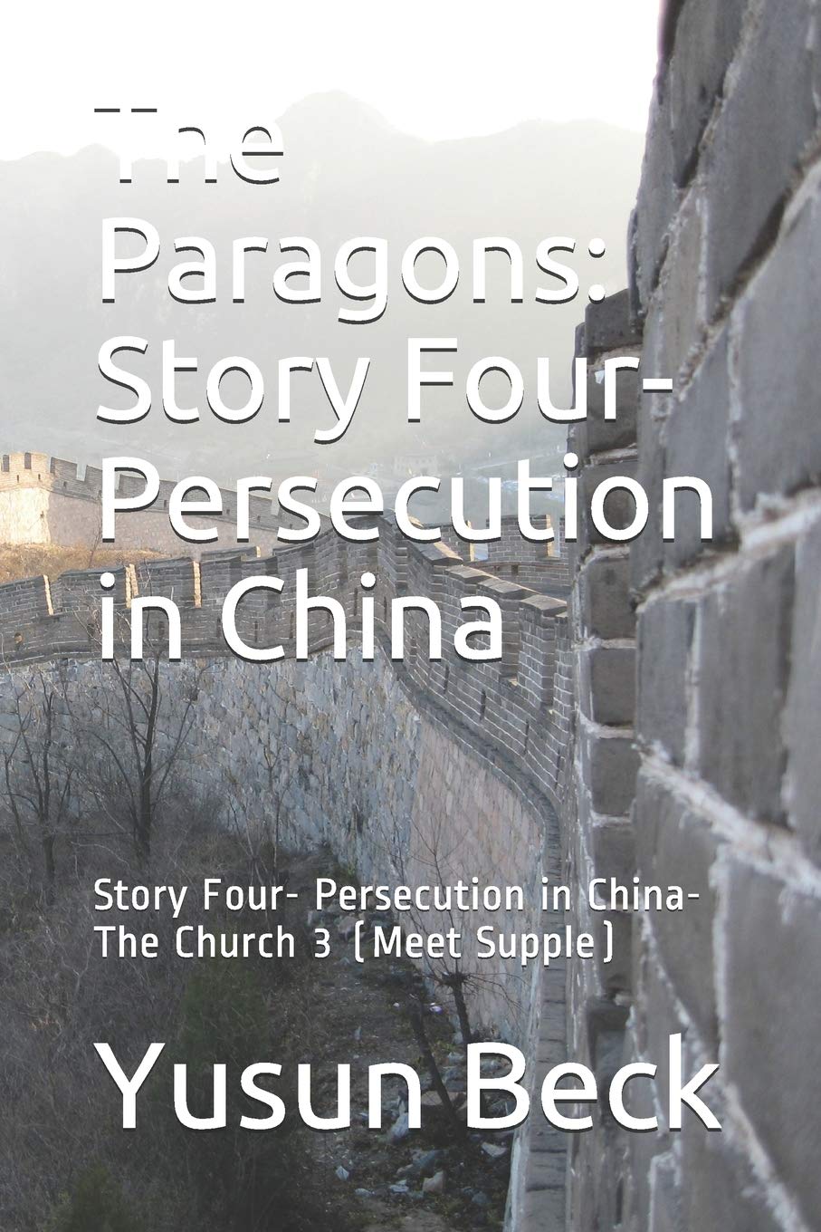 The Paragons: Story Four Persecution in China: Story Four Persecution in ChinaThe Church 3 (Meet Supple),Used