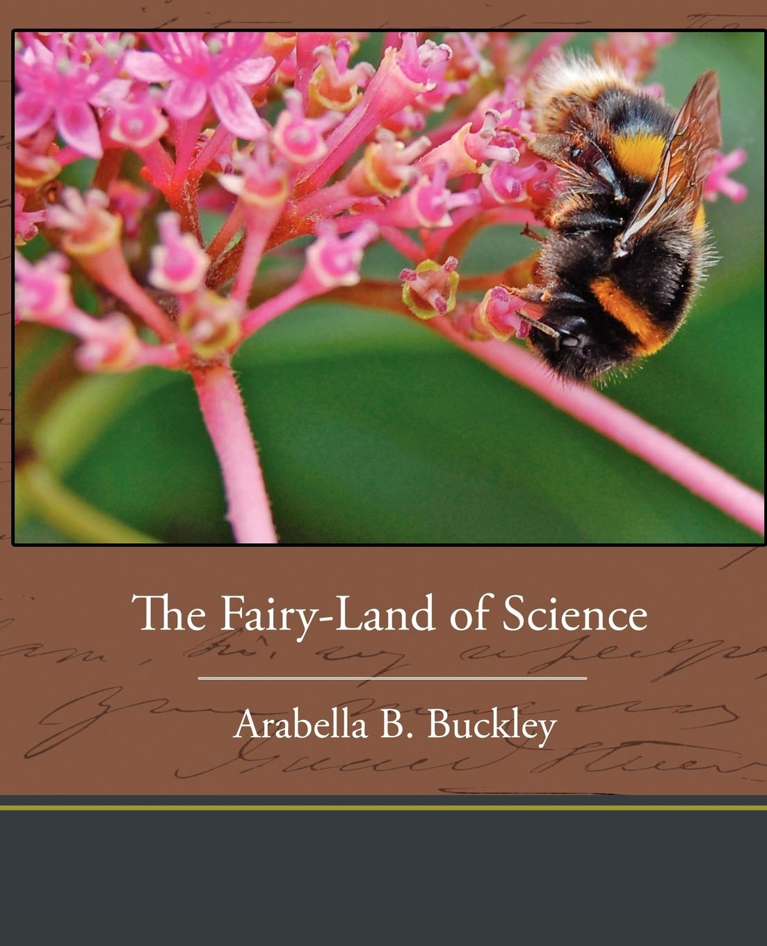 The Fairyland Of Science,Used