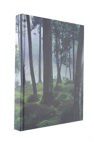 Spirit: Garden Inspiration: By Dan Pearson,New
