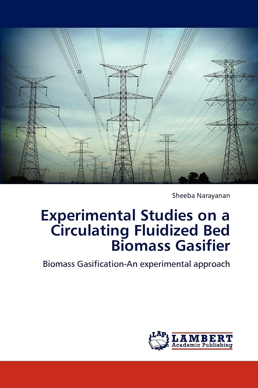 Experimental Studies on a Circulating Fluidized Bed Biomass Gasifier: Biomass GasificationAn experimental approach,Used