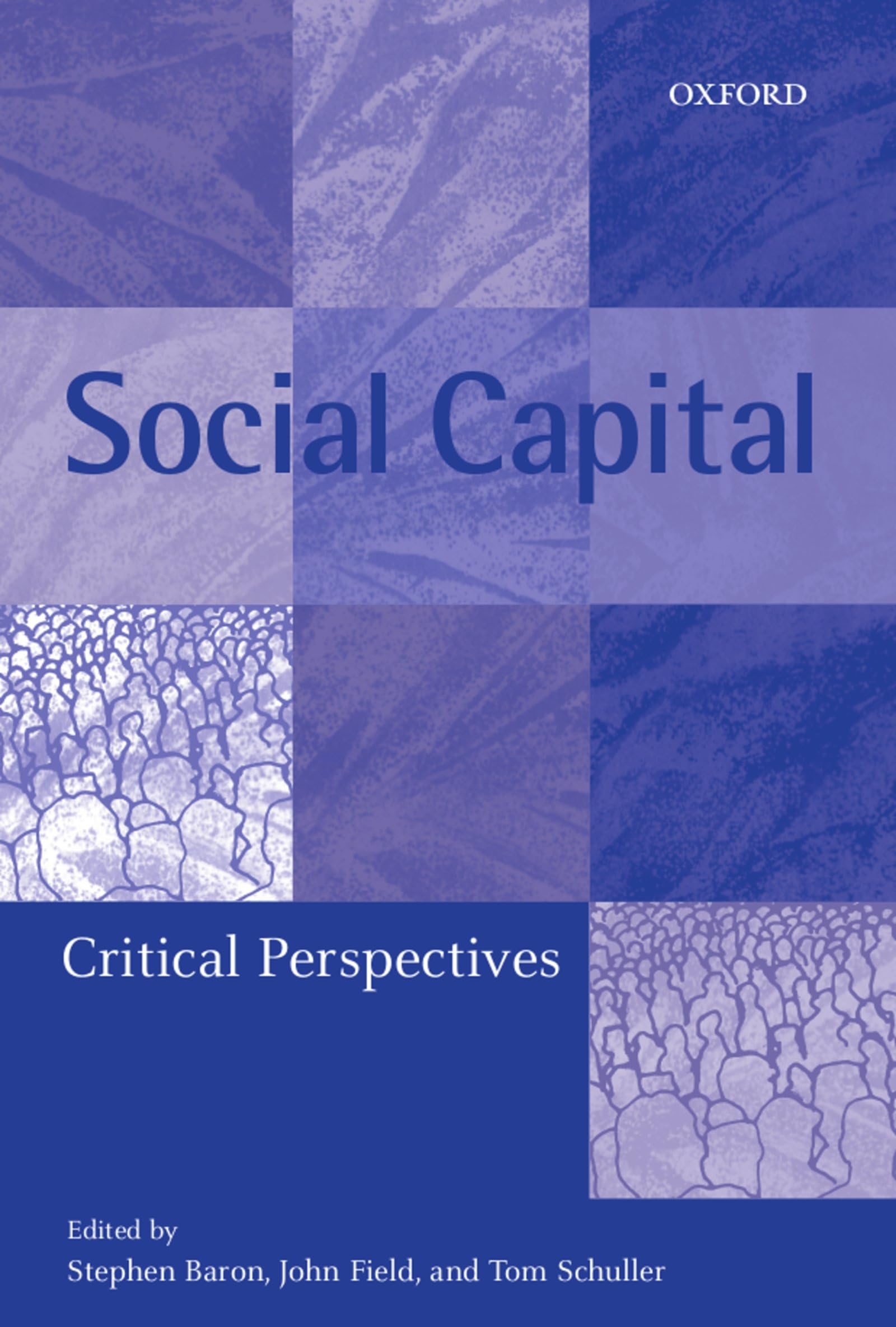 Social Capital: Critical Perspectives,Used