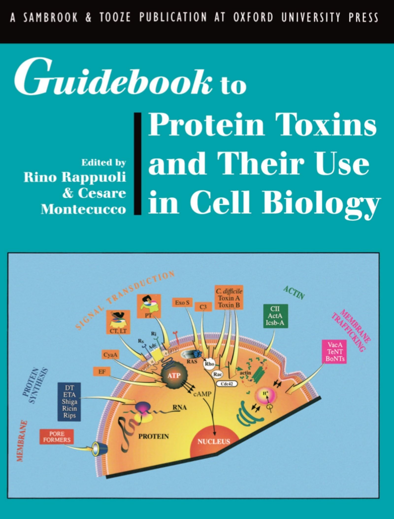 Guidebook to Protein Toxins and Their Use in Cell Biology (Sambrook & Tooze Guidebook Series)