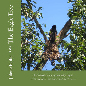 The Eagle Tree: A dramatic story of two baby eagles growing up in the Riverbend nest tree.,Used