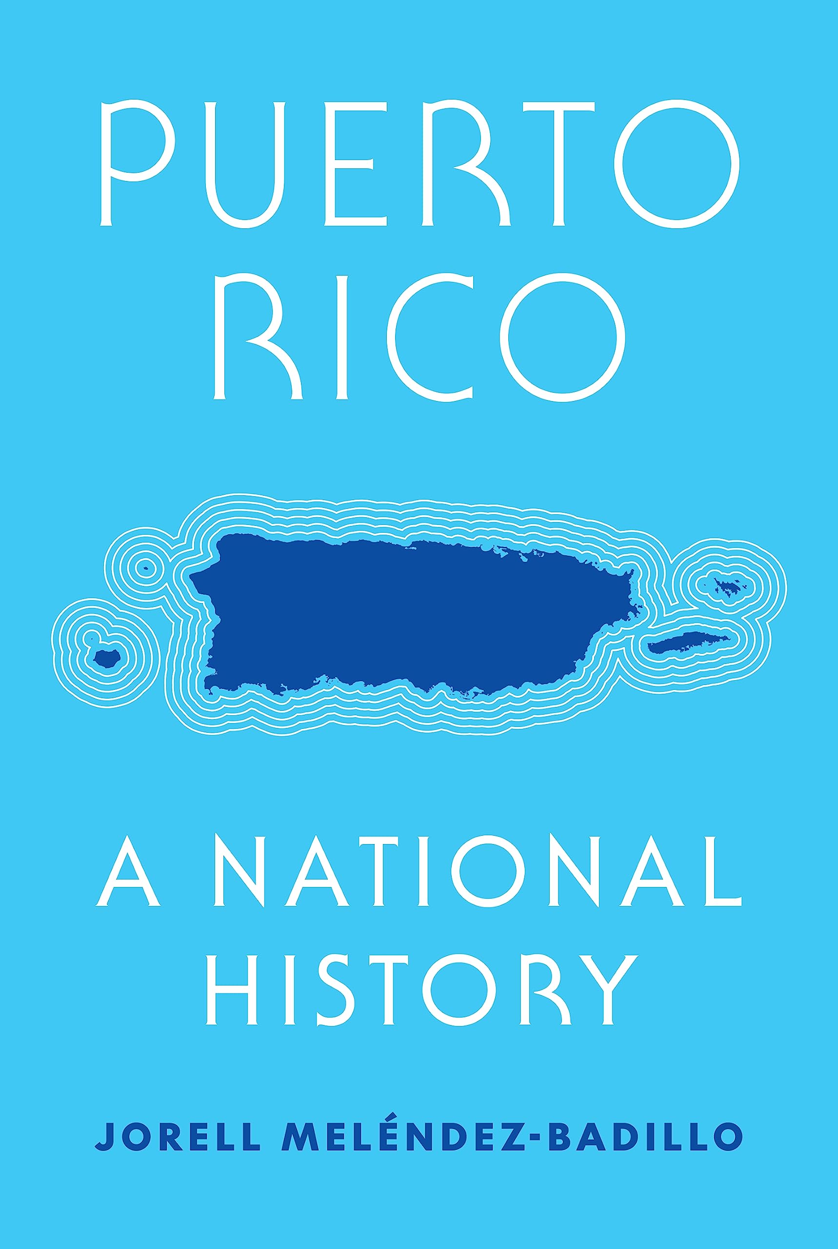 Puerto Rico: A National History,Used