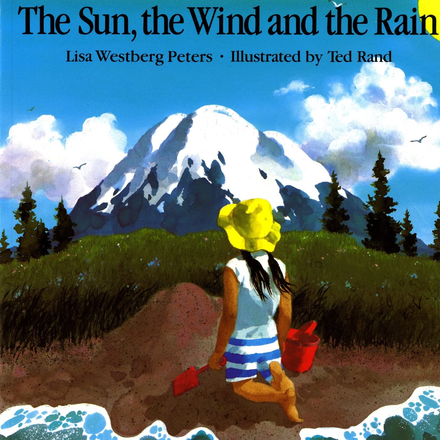 The Sun, the Wind and the Rain (An Owlet Book),Used