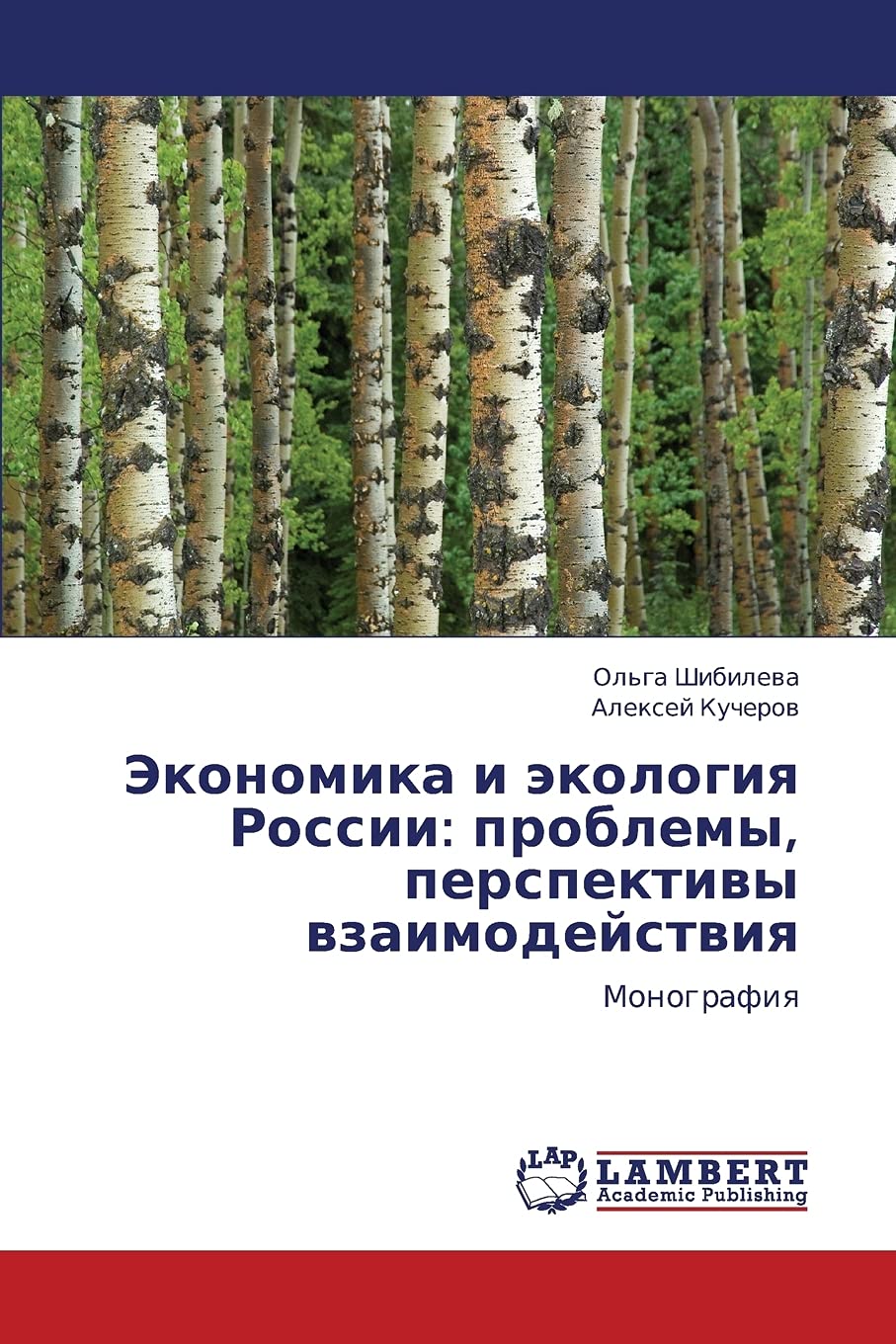 Ekonomika i ekologiya Rossii: problemy, perspektivy vzaimodeystviya: Monografiya (Russian Edition),Used