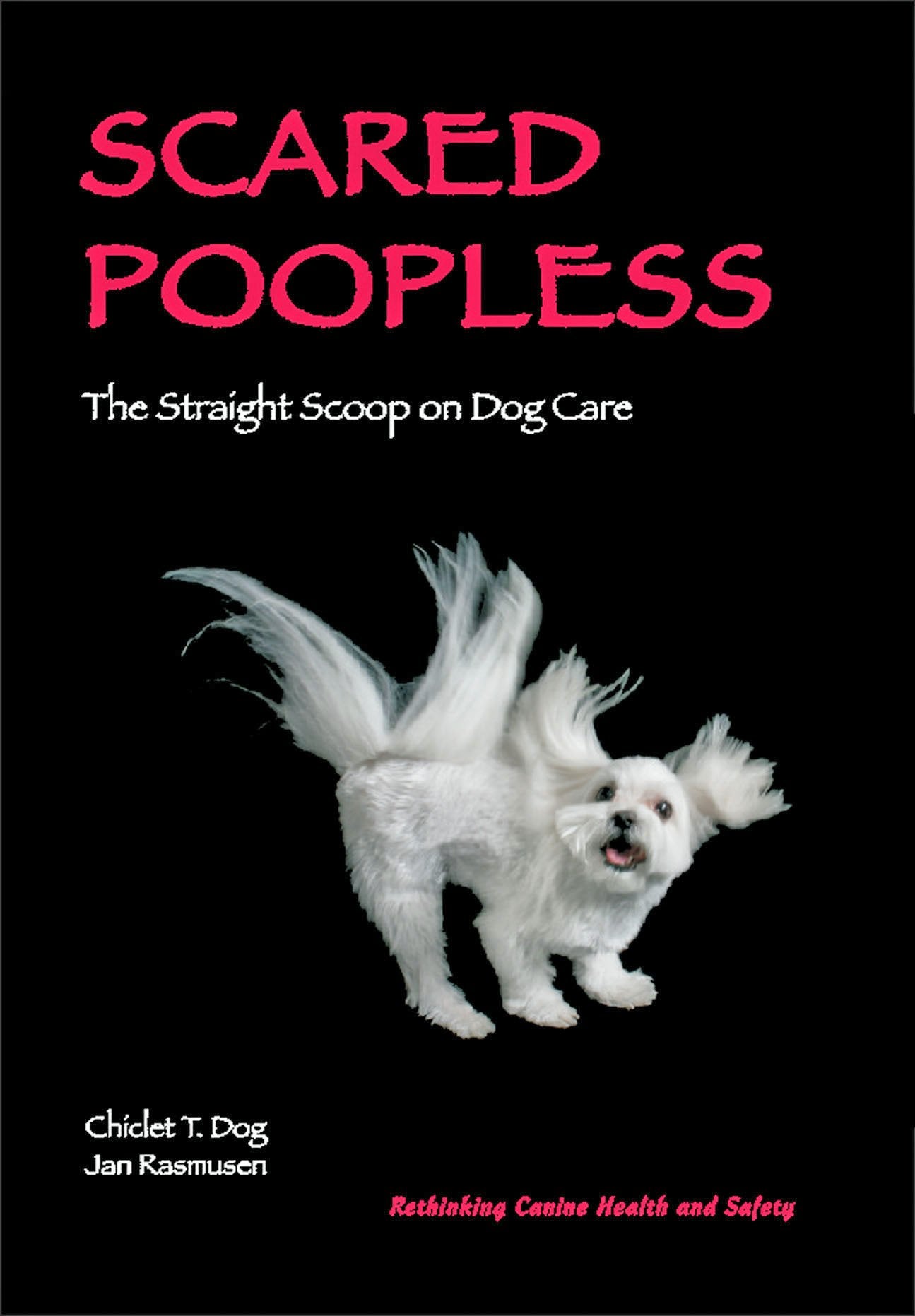 Scared Poopless: The Straight Scoop On Dog Care