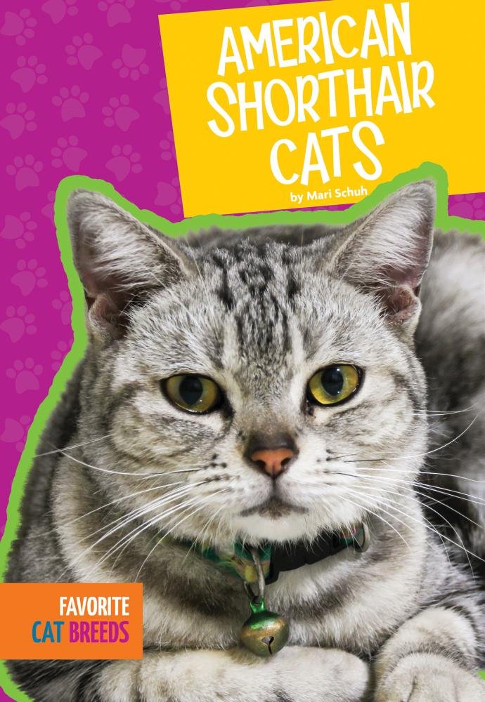 American Shorthair Cats (Favorite Cat Breeds),Used