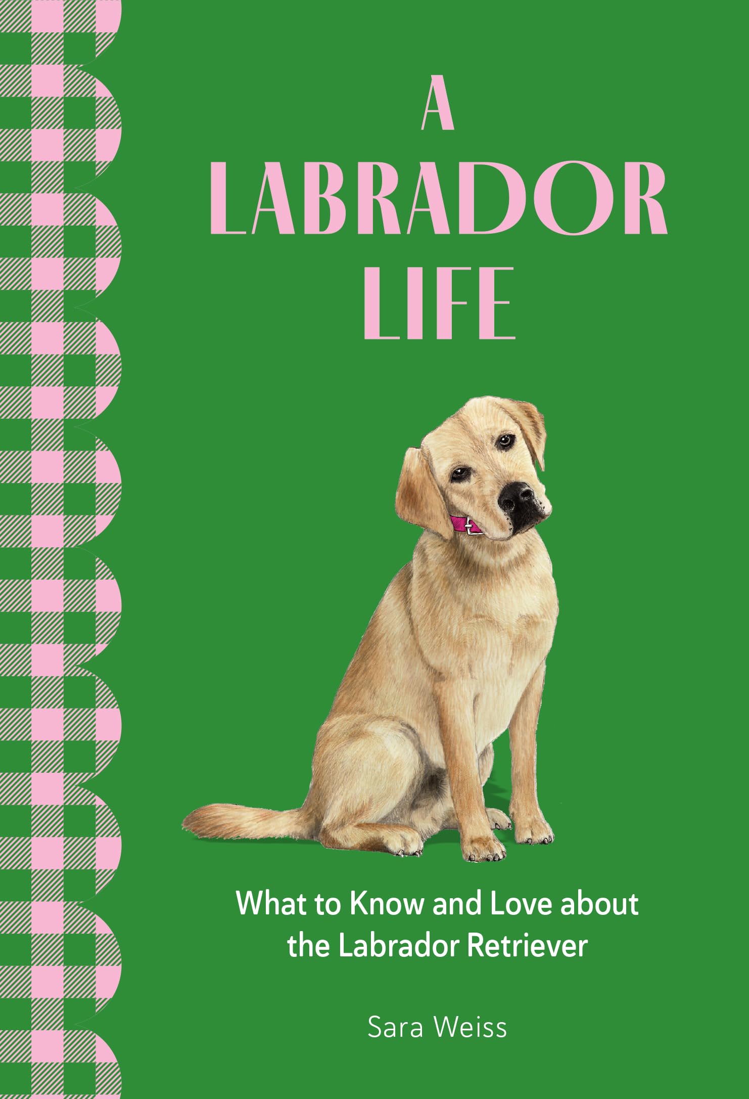 A Labrador Life: What To Know And Love About The Labrador Retriever (Favorite Dog)