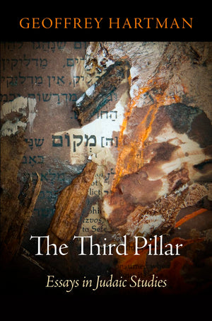 The Third Pillar: Essays In Judaic Studies (Jewish Culture And Contexts),Used