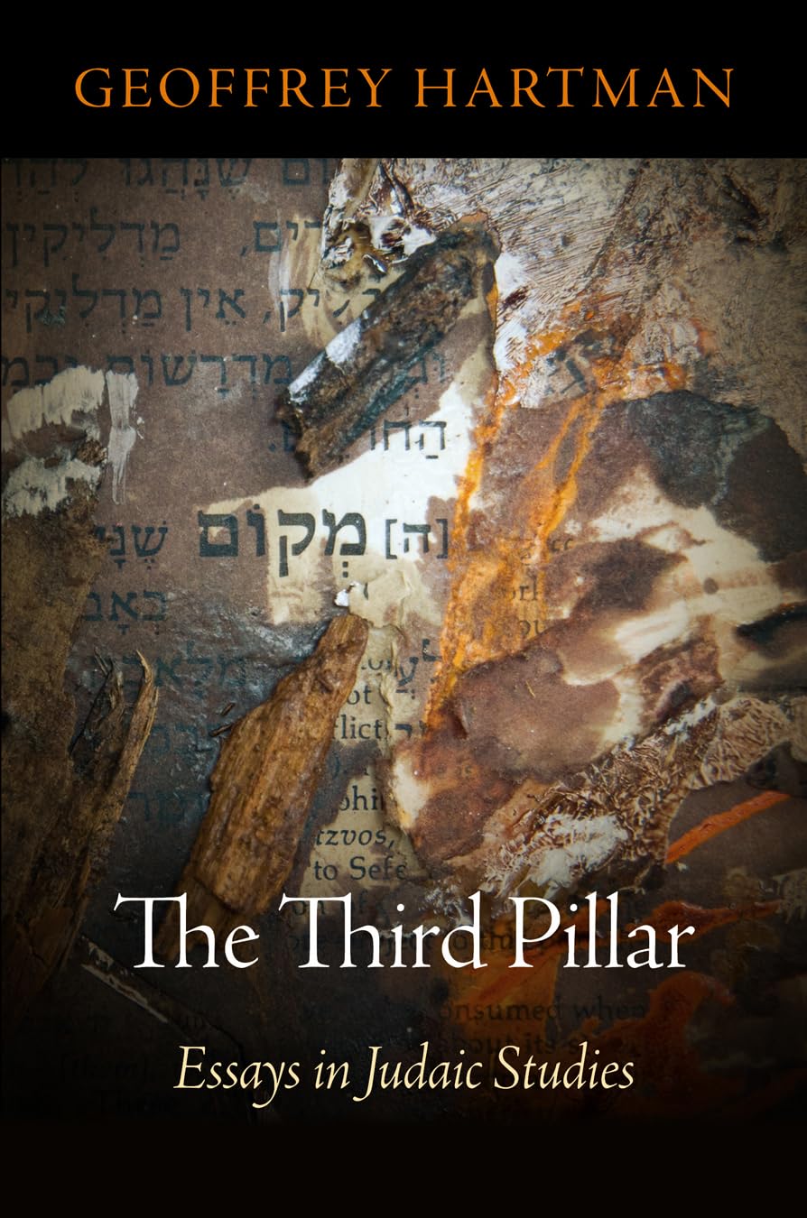 The Third Pillar: Essays In Judaic Studies (Jewish Culture And Contexts),Used
