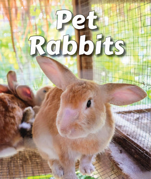 Pet Rabbits (All About Pets),Used
