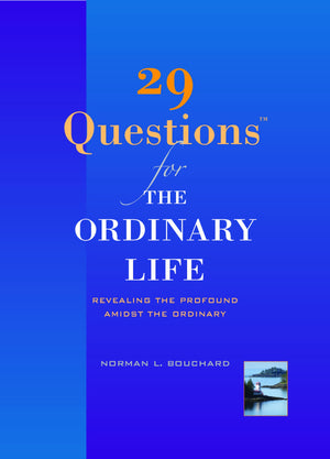 29 Questions for the Ordinary Life,Used