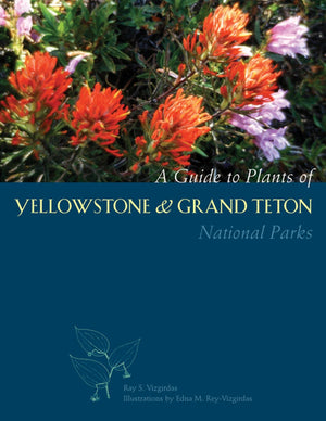 A Guide To Plants Of Yellowstone And Grand Teton National Parks,Used