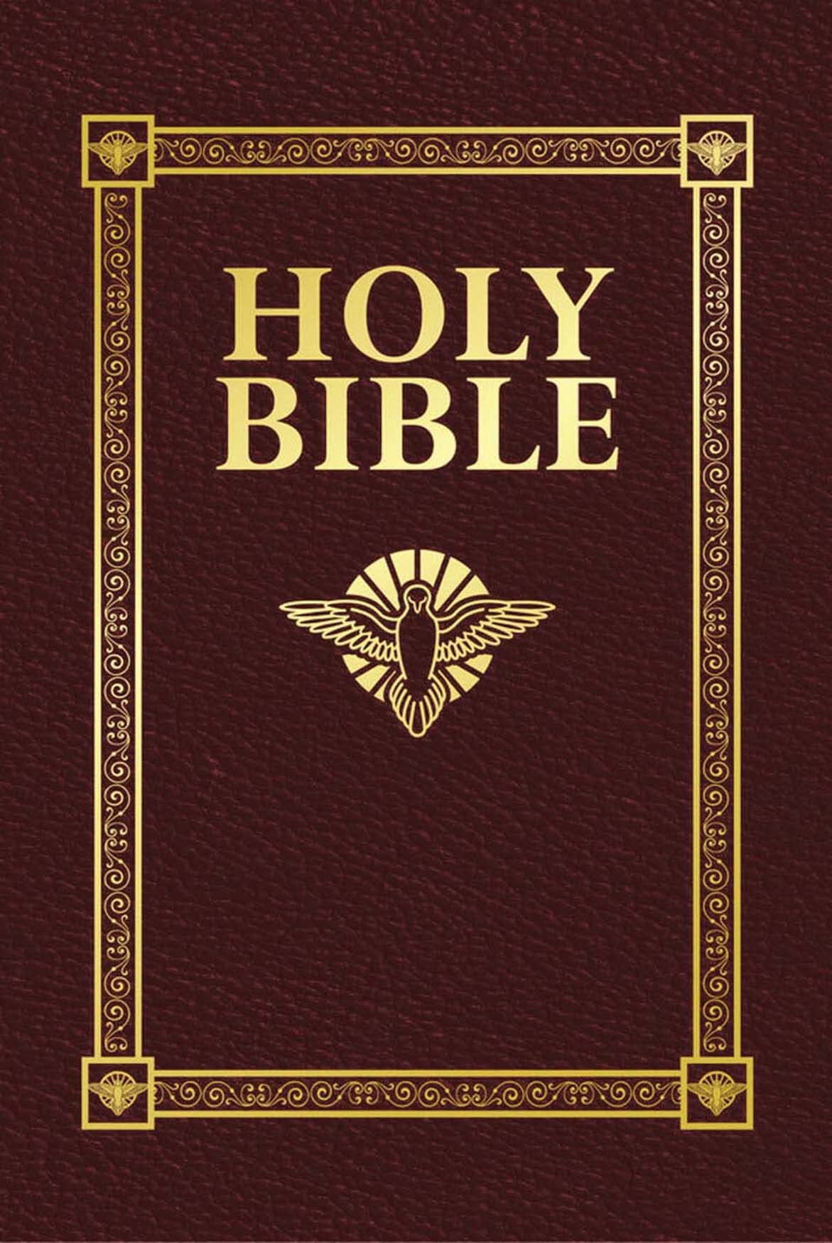 Holy Bible: DouayRheims Version, Confirmation, Gift,Used