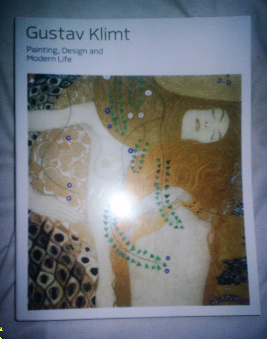 Gustav Klimt: Painting, Design And Modern Life