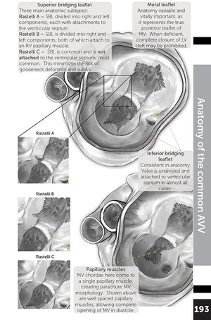 Boston Children's Hospital Cardiac ICU Manual For Bedside Providers  an illustrated handbook of congenital heart disease,New