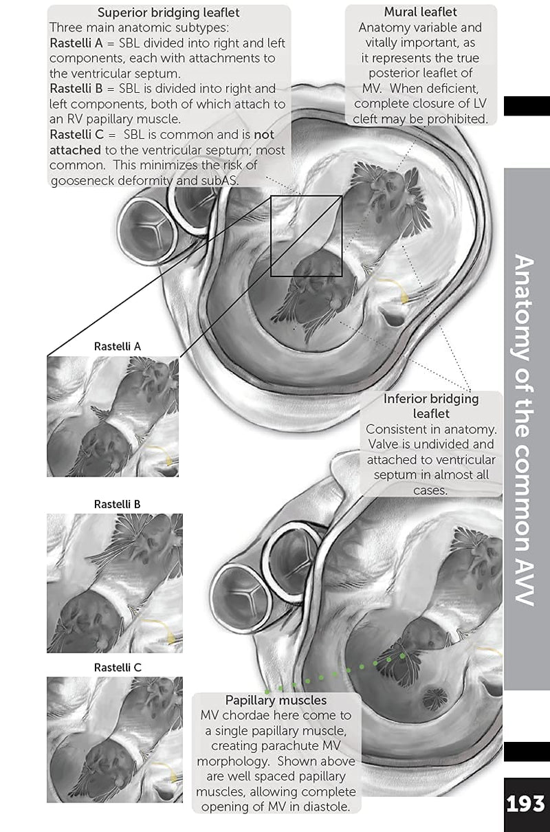 Boston Children's Hospital Cardiac ICU Manual For Bedside Providers  an illustrated handbook of congenital heart disease,New