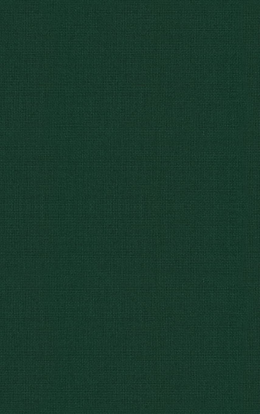 Advances In Child Development And Behavior (Volume 29),Used