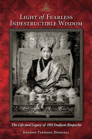 Light of Fearless Indestructible Wisdom: The Life and Legacy of H. H. Dudjom Rinpoche,Used