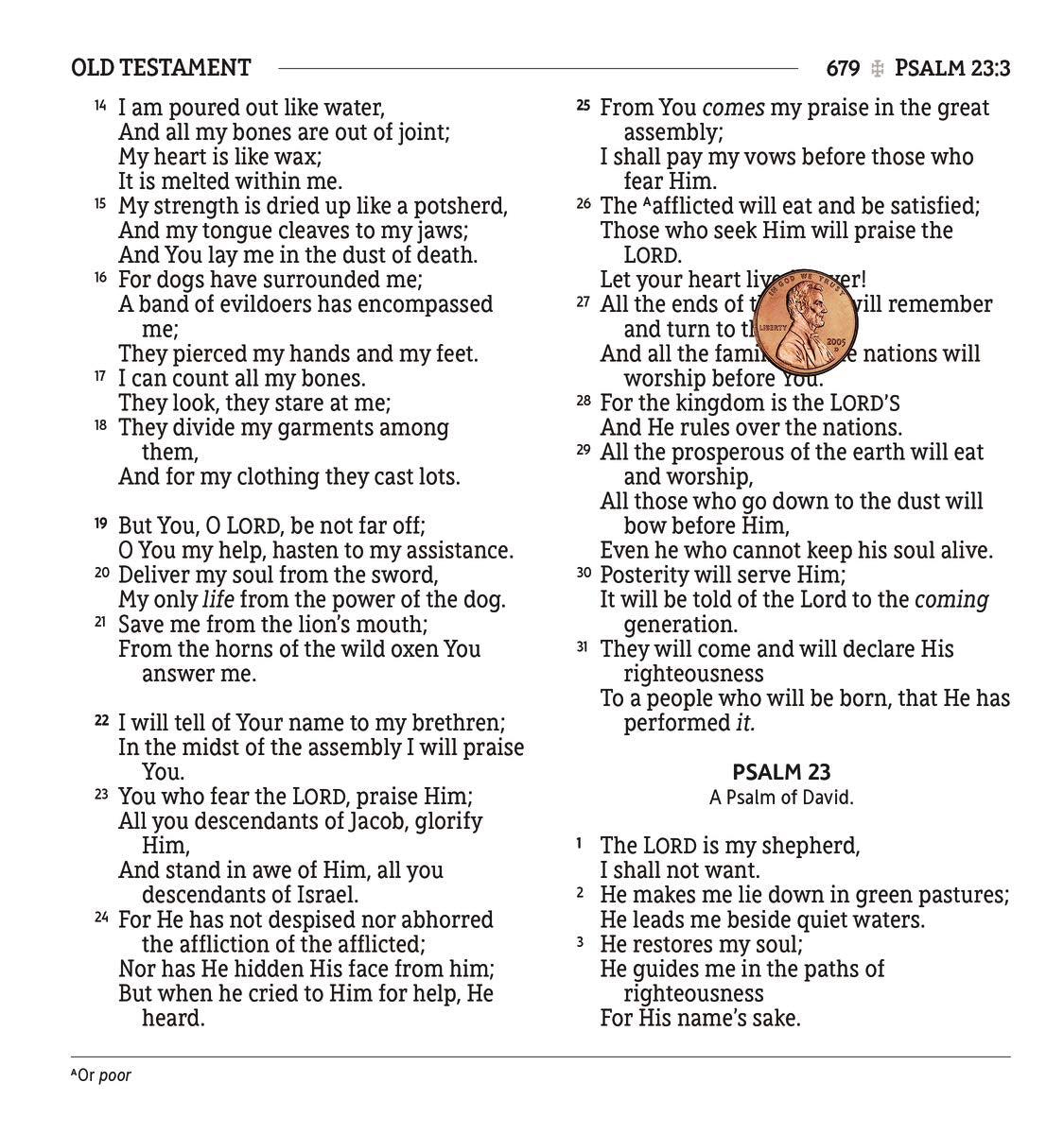 NASB, Holy Bible, XL Edition, Leathersoft, Brown, 1995 Text, Comfort Print,New