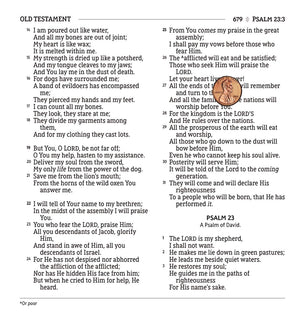 NASB, Holy Bible, XL Edition, Leathersoft, Brown, 1995 Text, Comfort Print,New