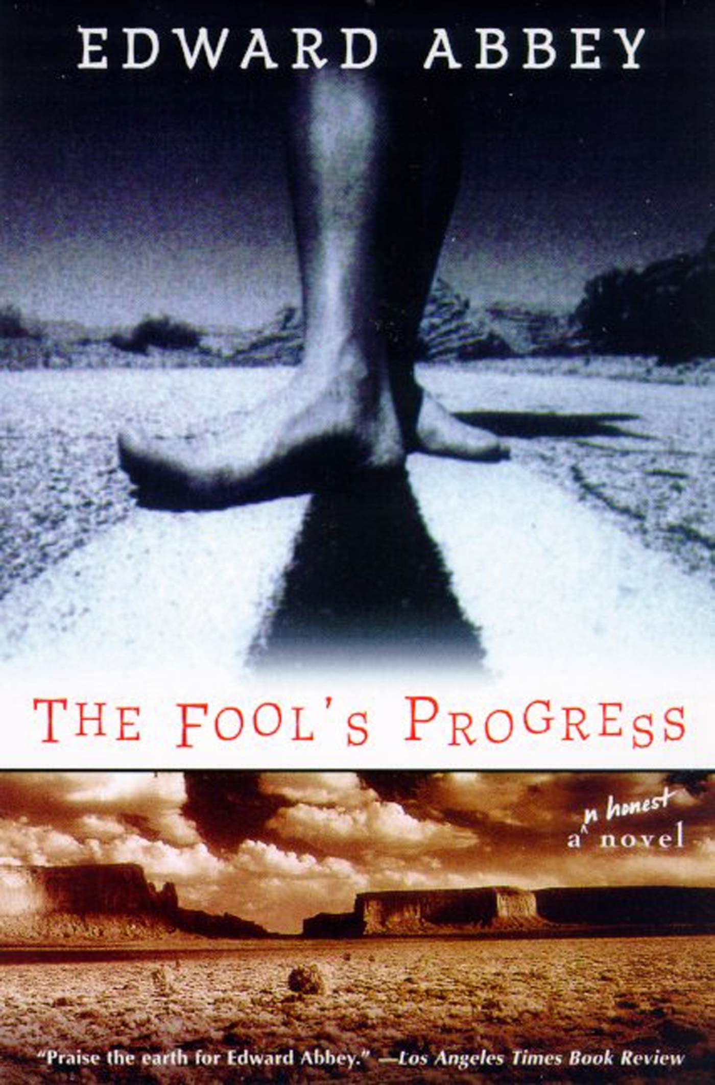 The Fool's Progress: An Honest Novel,Used