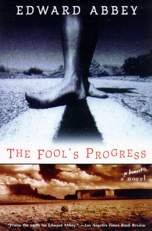 The Fool's Progress: An Honest Novel,Used