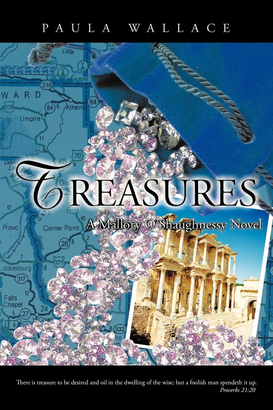 Treasures: A Mallory O'Shaughnessy Novel,Used